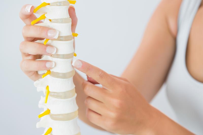 about our chiropractic office Los Angeles, CA,